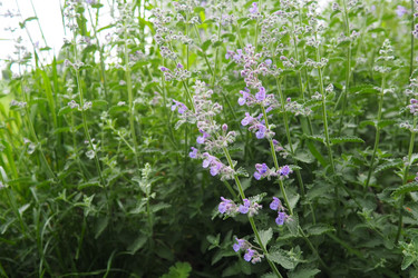 Similar image 21999377