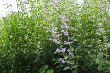 Similar image 21999378