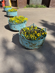 Similar image 21996843