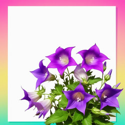 Similar image 21999341