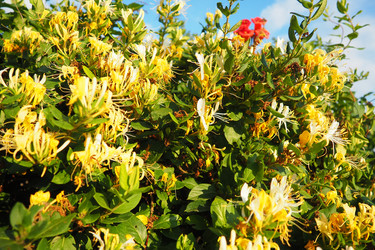 Similar image 21999354