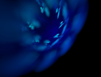 Similar image 22017914