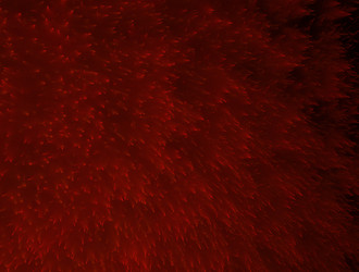 Similar image 22005780