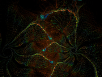 Similar image 22009682