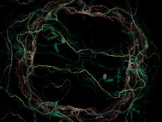 Similar image 22017924