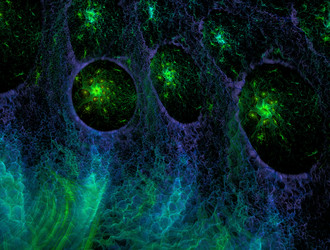 Similar image 22017656