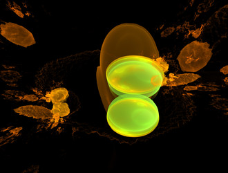 Similar image 22009705