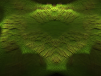 Similar image 22010940