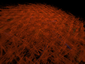 Similar image 22017662