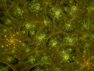 Similar image 22011118