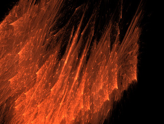 Similar image 22017959