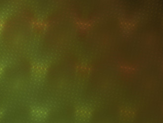 Similar image 22017567