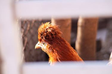 Similar image 22002649