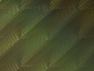 Similar image 22009845