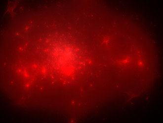 Similar image 22010678