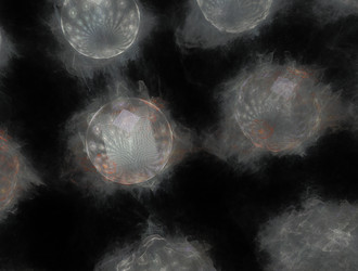 Similar image 22017997