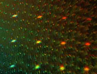 Similar image 22009904