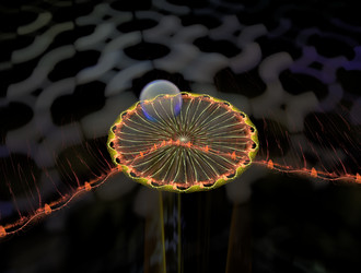 Similar image 22005800