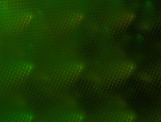 Similar image 22005904