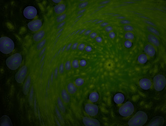 Similar image 22009947