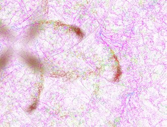 Similar image 22005905