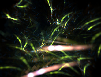 Similar image 22017709