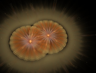 Similar image 22009971