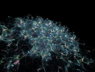 Similar image 22005803