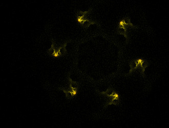 Similar image 22010699