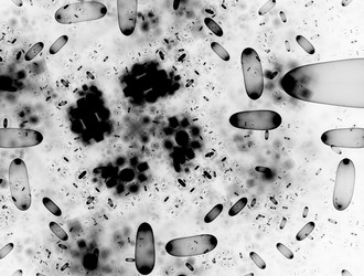 Similar image 22011204