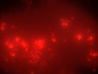 Similar image 22017886