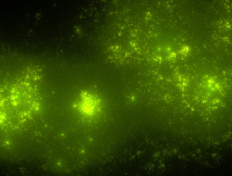 Similar image 22011435