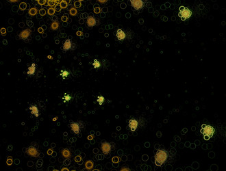 Similar image 22010034