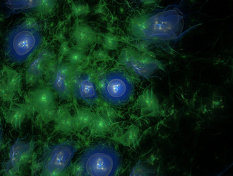 Similar image 22010062