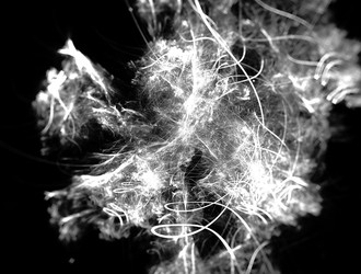 Similar image 22018056