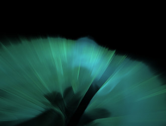 Similar image 22017746