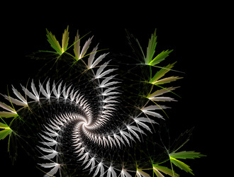 Similar image 22010099