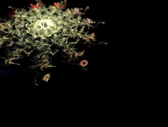 Similar image 22011256