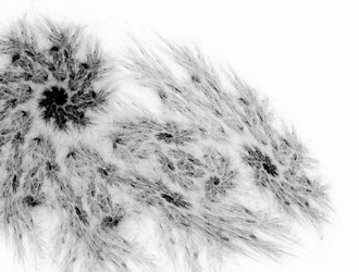 Similar image 22010164