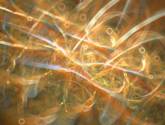 Similar image 22018077