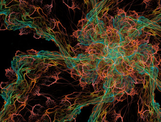 Similar image 22010181