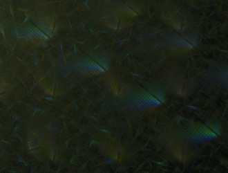 Similar image 22018082