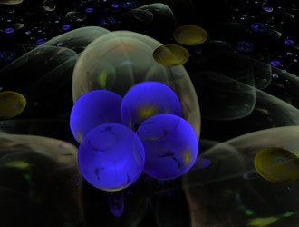 Similar image 22010205