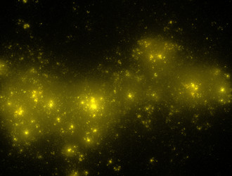 Similar image 22010213