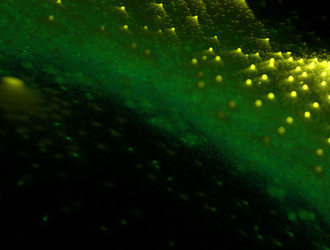 Similar image 22011033