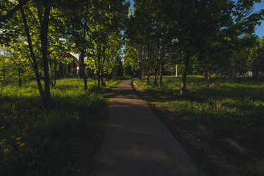 Similar image 22017477