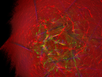 Similar image 22017770