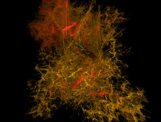 Similar image 22011458