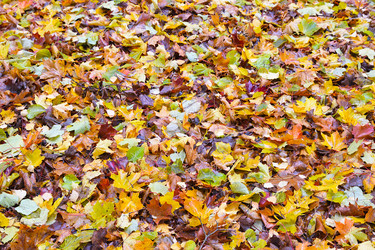 Similar image 21991882