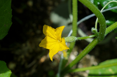 Similar image 22005936